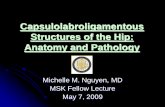Capsulolabroligamentous Structures of the Hip: Anatomy and ...bonepit.com/Lectures/Hip Lecture Michelle Ngyuen.pdf · Hip Dislocation Imaging Findings Iliofemoral ligament disruption