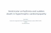 Ventricular arrhythmia and sudden death in hypertrophic cardiomyopathy · 2018-08-16 · Ventricular arrhythmia and sudden death in hypertrophic cardiomyopathy ... •Current consensus