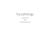 hip pathology - McCormick | Ortho · •the hip bone’s connected to the back bone… •restricted motion in hip •demands more motion from low back, pubic symphysis •puts abdominal