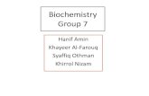 Biochemistry Group 7 - WordPress.com · Biochemistry Group 7 Hanif Amin Khayeer Al-Farouq Syaffiq Othman Khirrol Nizam. ... glycolysis and tricarboxylic acid cycle per one glucose.