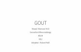 GOUT - ksumsc.comksumsc.com/download_center/3rd/Females/2nd Semester/Medicine/3- GOUT lecture.pdf•Describe clinical presentation of gout •Identify drug & non-drug risk factors