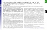 Microstratigraphic evidence of in situ ﬁre in the ... · Microstratigraphic evidence of in situ ﬁre in the Acheulean strata of Wonderwerk Cave, Northern Cape province, South Africa