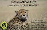 SUSTAINABLE WILDLIFE MANAGEMENT IN ZIMBABWE · ZIMBABWE cont • The Zimbabwe Parks and Wildlife Management Authority (ZPWMA) manages wildlife on behalf of the people of Zimbabwe.