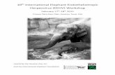 Herpesvirus (EEHV) Workshop - EEHV Advisory Groupeehvinfo.org/wp-content/uploads/2016/07/10th-EEHV... · 2019-03-03 · 10th International Elephant Endotheliotropic Herpesvirus (EEHV)