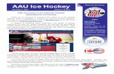 AAU Ice Hockey Newsletter - 2013 Novemberimage.aausports.org/dnn/hockey/2014/IceHockeyNewsletter...AAU Ice Hockey November 1, 2013 Volume 1, Issue 8 Page 5 VIVE LA REVOLUTION! (Long