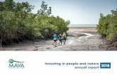 Investing in people and nature annual report 2018mava-foundation.org/wp-content/uploads/2019/04/19... · • seagrass beds • small pelagic fish Protecting • rivers and promoting