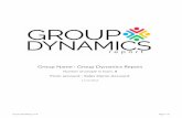 Group Name : Group Dynamics Report · High-performing companies have high-performing teams. Outstanding teams are o)en cra)ed and cul*vated, so it is no accident that some groups