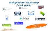 Multiplatform Mobile App Development - HWSW · 2 Introduction Worked in Mobile for 10 years – Platform development (Siemens, Android) – App development Android, iOS, BB 10, BB