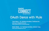 OAuth Dance with Mule - Perficient Blogs · Since OAuth2 is not a protocol, each product may have some implementation variations; therefore, configuration parameters are conceptually