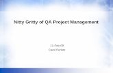 Nitty Gritty of QA Project Management - SQGNEsqgne.org/presentations/2008-09/Perletz-Feb-2009.pdf · Nitty Gritty of QA Project Management Introduction • My background • 1984