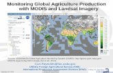 Monitoring Global Agriculture Production with MODIS and … · 2013-02-15 · Monitoring Global Agriculture Production with MODIS and ... Create economic opportunity for American