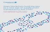 Does blockchain hold the key to a new age of supply chain ... · Safety at Walmart explains: “Blockchain technology enables a new era of end-to-end transparency in the global food