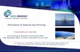 Petroleum & Natural Gas PricingPetroleum & Natural Gas Pricing Presented by Dr. Amit Mor Israel Energy & Business Convention 2016 Kfar Maccabia Hotel, Tel Aviv, November 21-22, 2016