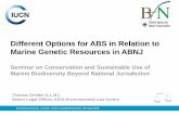 Different Options for ABS in Relation to Marine Genetic ... · Different Options for ABS in Relation to Marine Genetic Resources in ABNJ Seminar on Conservation and Sustainable Use