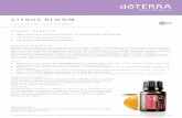 CITRUS BLOOM - doTerra · 2019-09-05 · CITRUS BLOOM SPRINGTIME BLEND 15ML INGREDIENTS Wild Orange, Grapefruit, Lavender, Roman Chamomile and Magnolia essential oils PRODUCT DESCRIPTION