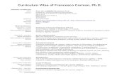 Curriculum Vitae of Francesco Corman, Ph.D.Page 2 - Curriculum vitae of Corman Francesco • Main activities and research interests Acquired, contributed and managed 6 projects of
