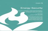 Energy Security - Home - BIOEN FAPESPbioenfapesp.org/scopebioenergy/images/chapters/... · for energy security extend into the following crucial areas. 3.2.1.1 Availability and markets
