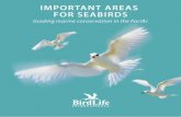 Overview - BirdLife Internationaldatazone.birdlife.org/userfiles/file/Marine/Important_areas_for... · Overview The Pacific is important for seabirds, and seabirds are important for
