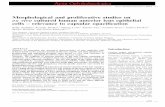Morphological and proliferative studies on ex vivo ...publicatio.bibl.u-szeged.hu/10041/1/Andjeli__et_al... · Morphological and proliferative studies on ex vivo cultured human anterior