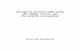 Prospects of semi-cultivating the edible weaver ant ... · Prospects of semi-cultivating the edible weaver ant Oecophylla smaragdina, 111 pages. PhD thesis, Wageningen University,