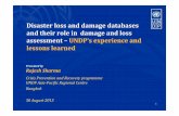 Disaster loss damage databases and role in damage and loss ... · Disaster loss and damage databases and their role in damage and loss assessment –UNDP’s experience and lessons