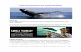 WHALEPOWER CORPORATION AND TUBERCLE TECHNOLOGYWHALEPOWER CORPORATION AND TUBERCLE TECHNOLOGY ... Paradoxically, they were half right: Tubercular air foils actually do destroy laminar