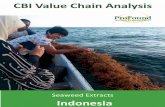 Seaweed Extracts - CBI · Annex II — Roadmap to Seaweed Industry Development 2017–2021 ... The research team recommends a market focus on the food sector. ... use of extracts