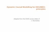 Dynamic Causal Modelling for EEG/MEG: principles · Dynamic Causal Modelling for EEG/MEG: principles Adapted from the DCM course slides of J. Daunizeau