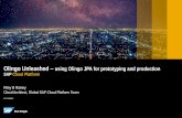 Olingo Unleashed using Olingo JPA for prototyping and ... · CUSTOMER Riley B Rainey Cloud Architect, Global SAP Cloud Platform Team Olingo Unleashed –using Olingo JPA for prototyping