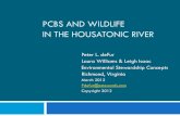 PCBS AND WILDLIFE IN THE HOUSATONIC RIVER...Tree Swallows - Housatonic Insectivorous – 70% of diet = aquatic Average total PCBs in eggs and nestlings- highest reported anywhere for