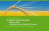 3 | BASF Plant Biotechnology 3 | BASF Plant Biotechnology . BASF Roundtable Agricultural Solutions,