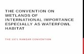 THE CONVENTION ON WETLANDS OF INTERNATIONAL …inogo.stanford.edu/sites/default/files/Convention on Wetlands of International...would have extremely negative consequences for the functioning