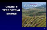Chapter 5 TERRESTRIAL BIOMES ... 2 Outline â€¢ Terrestrial Biomes Tundra Coniferous, Deciduous and Rain