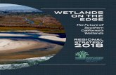 WETLANDS ON THE EDGE - Amazon Web Servicespage... · Chris Potter California Natural Resources Agency Bruce Posthumus San Diego Reg. Water Quality Control Board Gail Sevrens California
