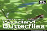 Great places to see Woodland Butterflies - The Wildlife Trusts · purple emperor and purple hairstreak, both of which rarely come to nectar. Scan the tops of oak woodlands ... This