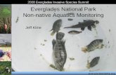 Everglades National Park Non-native Aquatics Monitoring · 2016-01-06 · Everglades National Park Exotic Vegetation Management • BASF Melaleuca Grant Project • Description –Re-treat