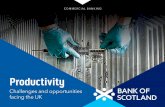 Productivity - Bank of Scotland · • The UK Productivity Review • Lifting the Trophy: Scale up insights into the productivity prize The event shed light on UK productivity and