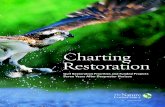 Charting Restoration - The Nature Conservancy€¦ · plans and visions for restoring and conserving the Gulf of Mexico and lands along its coastline. These visions and plans range