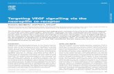 Targeting VEGF signalling via the neuropilin co-receptor · Drug Discovery Today Volume 18,Numbers 9/10 May 2013 REVIEWS Targeting VEGF signalling via the neuropilin co-receptor Snezana