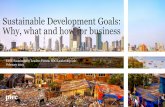 Sustainable Development Goals: Why, what and how for business · 2019-02-08 · Sustainable Development Goals: Why, what and how for business. PwC Agenda ... sustainable business.