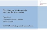 Zika, Dengue, Chikungunya...Zika, Dengue, Chikungunya after Irma, Maria and Harvey Pascal Bittel Institute for Infectious Diseases Universität Bern 08.03.2018, Molecular Diagnostics