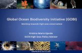 Global Ocean Biodiversity Initiative (GOBI) · Global Ocean Biodiversity Initiative (GOBI) Workingtowards highseasconservation Kristina Maria Gjerde ... will likely bear greatest