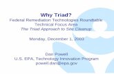 Why Triad? - FRTR · —ESC, ASAP —EPA Region 4, ORNL »USACE work, advocates ... »Staffing/workload shifts »Technical support, training »Management and oversight »Funding issues.