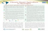 Climate-Smart Agriculture in Nicaragua - Climate Change · 4 Climate-Smart Agriculture in Nicaragua Agricultural greenhouse gas emissions The agricultural sector contributes 12% to