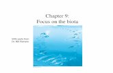 Chapter 9: Focus on the biota - University of Wyominggeofaculty.uwyo.edu/eggleston/FOG-1/GEOL2000/Chapter-9-3e.pdf · Biomass (mass of living matter) Energy flow rates . Energetics