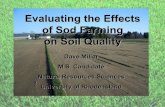 Evaluating the Effects Evaluating the Effects of Sod ...nesoil.com/ssssne/2007conference/Millar_SSSSNE2007.pdf · 2006 Sampling • 15 points were randomly selected at all sites using