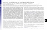 Pulsed oxidation and biological evolution in the Ediacaran ... · Pulsed oxidation and biological evolution in the Ediacaran Doushantuo Formation Kathleen A. McFadden*, Jing Huang†,