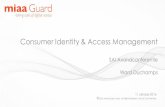 Consumer Identity & Access Management a · CIAM = Minise Risk + Customer Delight Bring-Your-Own-Identity will further expand ... Consumer Identity & Access Management Platform big