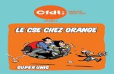 LE CSE CHEZ ORANGE - monsyndicatcfdt.fr · d’Information (DTSI), 2. Direction Orange Ile de France (DO IDF), 3. Direction Orange Grand Nord Est (DO GNE), 4. Direction Orange Grand