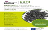 BIOCHAR WORKSHOP - EBRI...2020/03/11  · Aston University provides practical solutions for businesses to explore these increasingly important, vibrant markets. Business support from